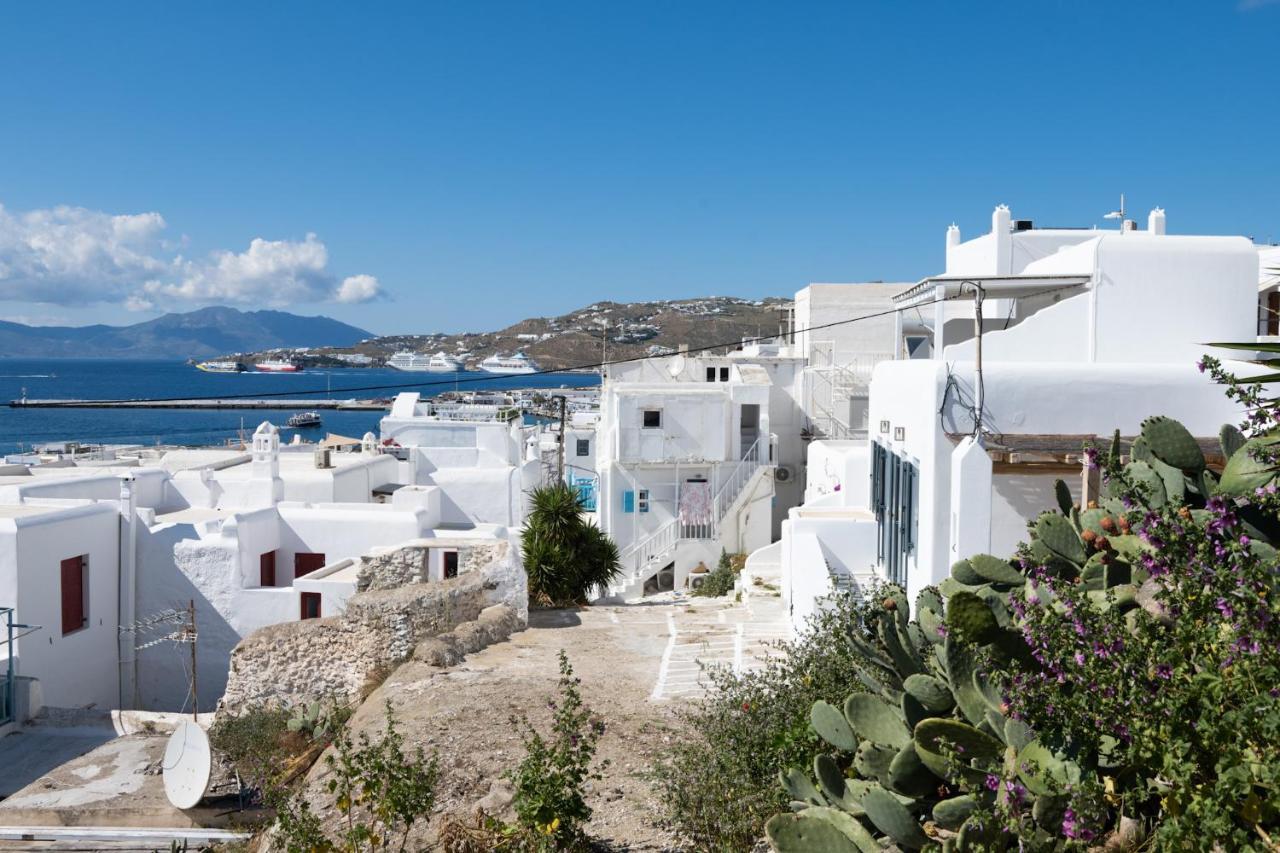 Mykonos House Serene Vila Mykonos Town Exterior foto